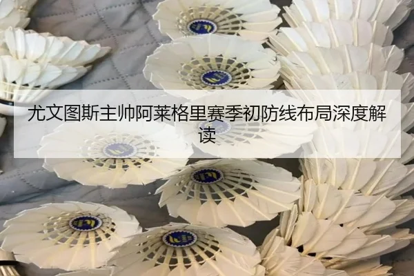 尤文图斯主帅阿莱格里赛季初防线布局深度解读